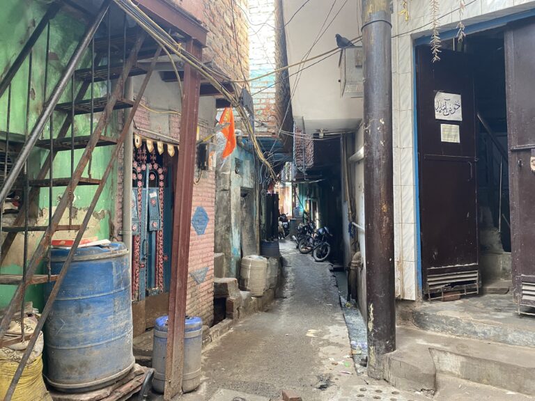 img_1381 IMG 1381 scaled